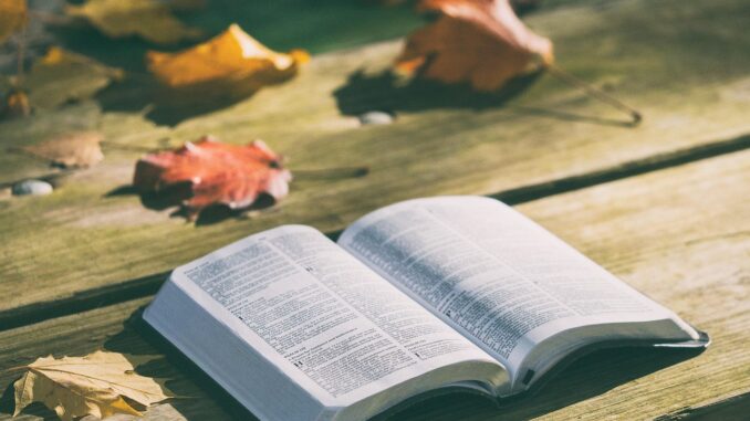 bible, book, pages, open, reading, open bible, bible reading, bible study, chapters, psalms, religion, faith, bible, bible, bible, bible, bible, book