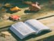 bible, book, pages, open, reading, open bible, bible reading, bible study, chapters, psalms, religion, faith, bible, bible, bible, bible, bible, book