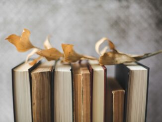 Artistic display of vintage books with dried leaves on top, evoking a nostalgic autumn mood.