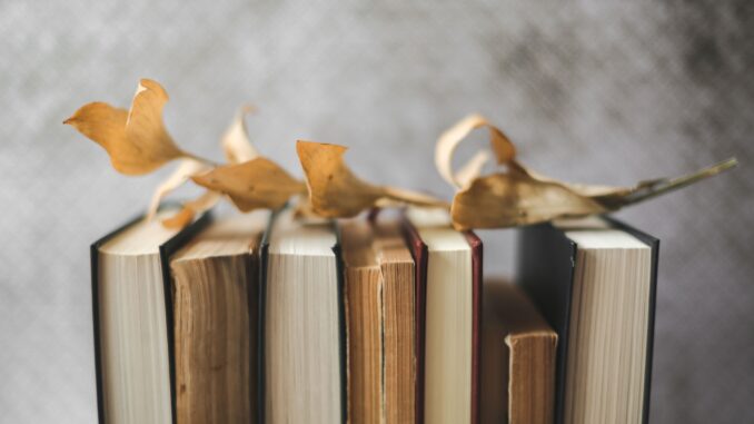 Artistic display of vintage books with dried leaves on top, evoking a nostalgic autumn mood.