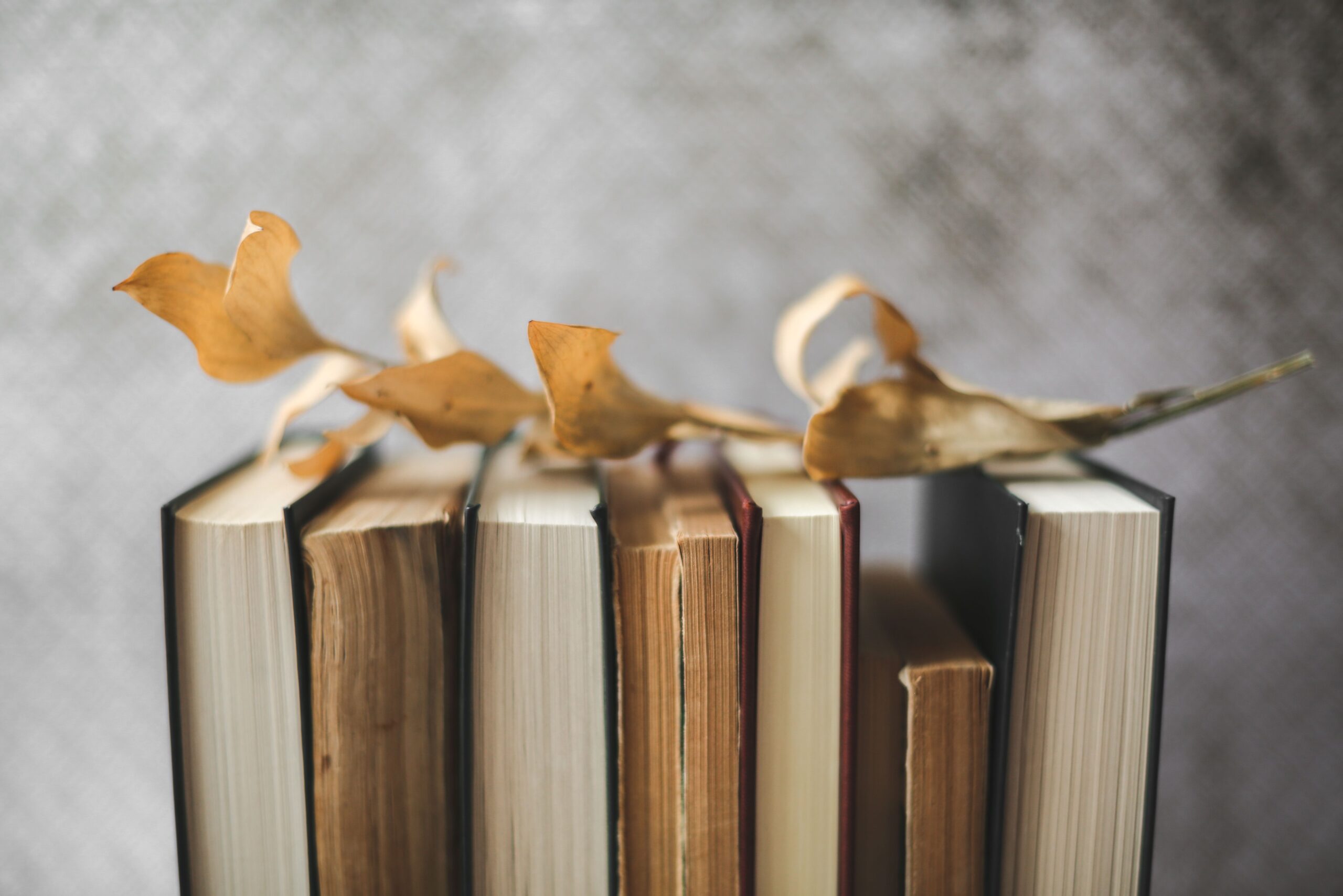 Artistic display of vintage books with dried leaves on top, evoking a nostalgic autumn mood.